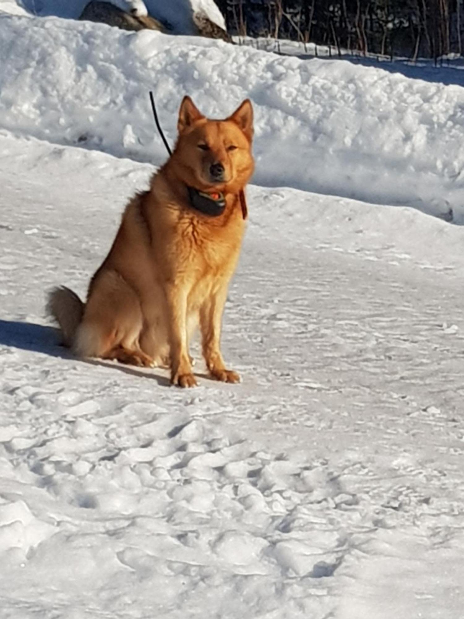 Rantala Talo Keitele Jaerven Rannalla Appartement Kymonkoski